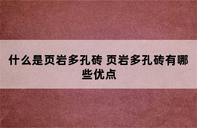 什么是页岩多孔砖 页岩多孔砖有哪些优点